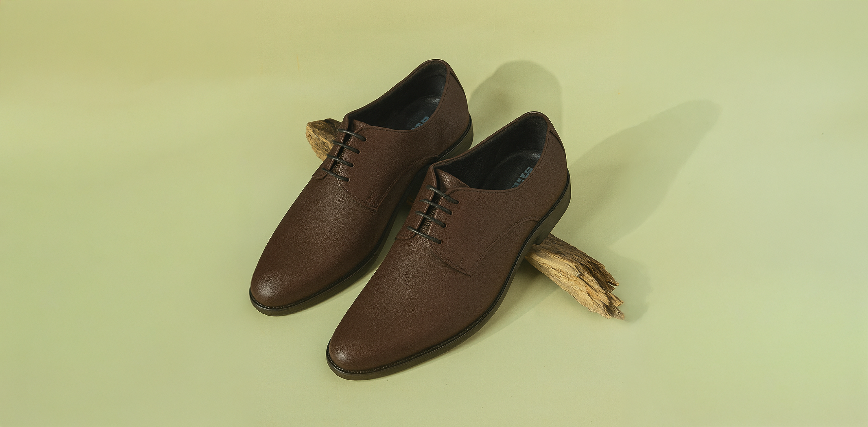 Calzado & Moda